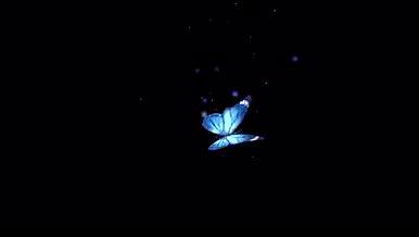 蝴蝶浪漫粒子闪烁时尚背景舞台梦幻灯光元素视频的预览图